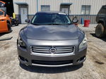 2014 Nissan Maxima S Gray vin: 1N4AA5AP9EC906007