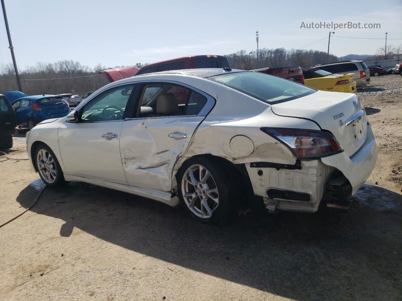 2014 Nissan Maxima S Белый vin: 1N4AA5APXEC474026