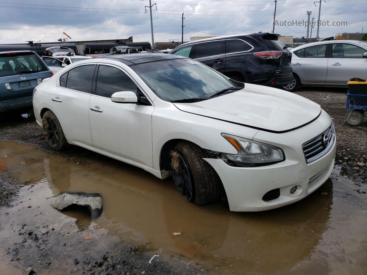 2014 Nissan Maxima S Белый vin: 1N4AA5APXEC479971