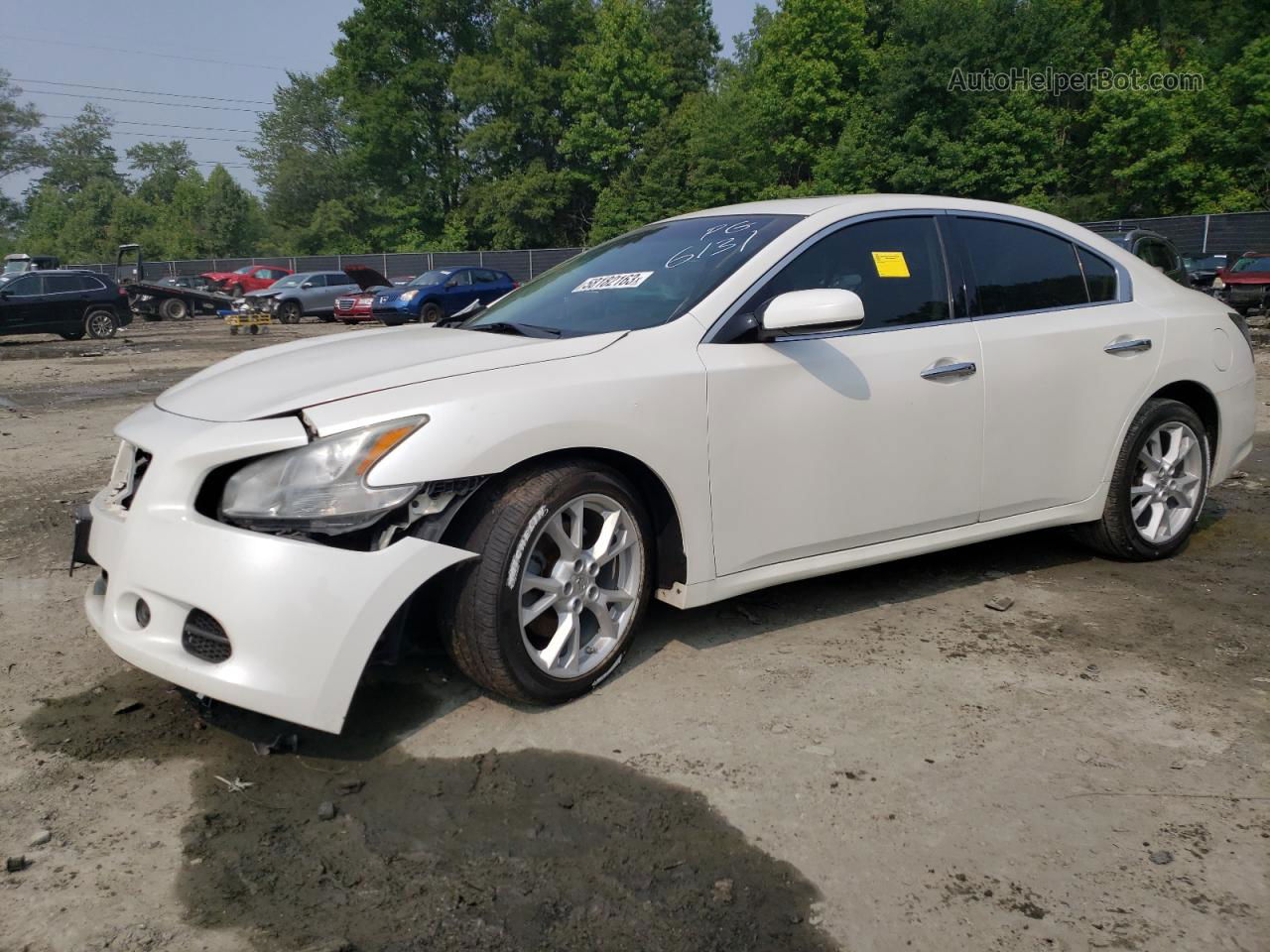 2014 Nissan Maxima S White vin: 1N4AA5APXEC906131