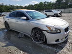 2014 Nissan Maxima S Silver vin: 1N4AA5APXEC912060