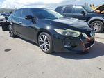 2016 Nissan Maxima 3.5s Черный vin: 1N4AA6AP0GC402356