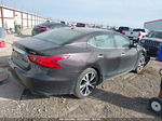 2016 Nissan Maxima 3.5 Platinum Purple vin: 1N4AA6AP0GC418654