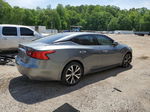 2016 Nissan Maxima 3.5s Gray vin: 1N4AA6AP0GC421957