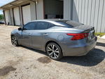 2016 Nissan Maxima 3.5s Gray vin: 1N4AA6AP0GC421957