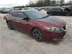 2016 Nissan Maxima 3.5s Burgundy vin: 1N4AA6AP0GC426009