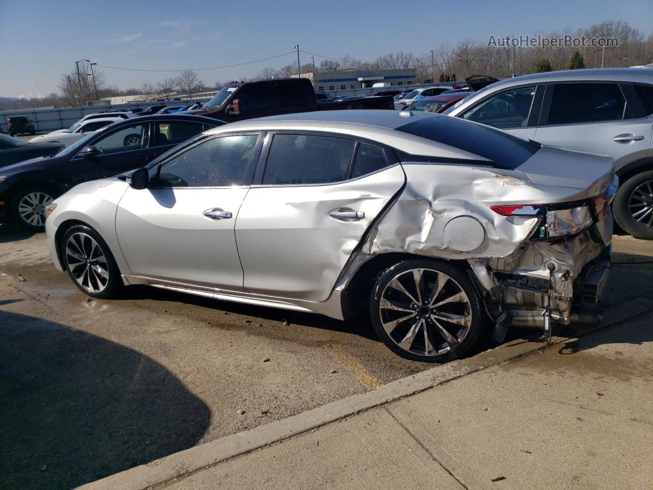 2016 Nissan Maxima 3.5s Silver vin: 1N4AA6AP0GC437804