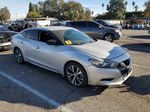 2016 Nissan Maxima 3.5s Silver vin: 1N4AA6AP0GC447829