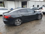 2016 Nissan Maxima 3.5s Black vin: 1N4AA6AP0GC906406