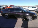 2016 Nissan Maxima 3.5 Sv Purple vin: 1N4AA6AP0GC907295