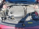 2017 Nissan Maxima 3.5s/sv/sl/sr/plat Бордовый vin: 1N4AA6AP0HC361874