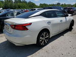 2016 Nissan Maxima 3.5s White vin: 1N4AA6AP1GC397720