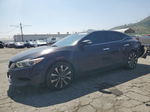 2016 Nissan Maxima 3.5s Black vin: 1N4AA6AP1GC416895