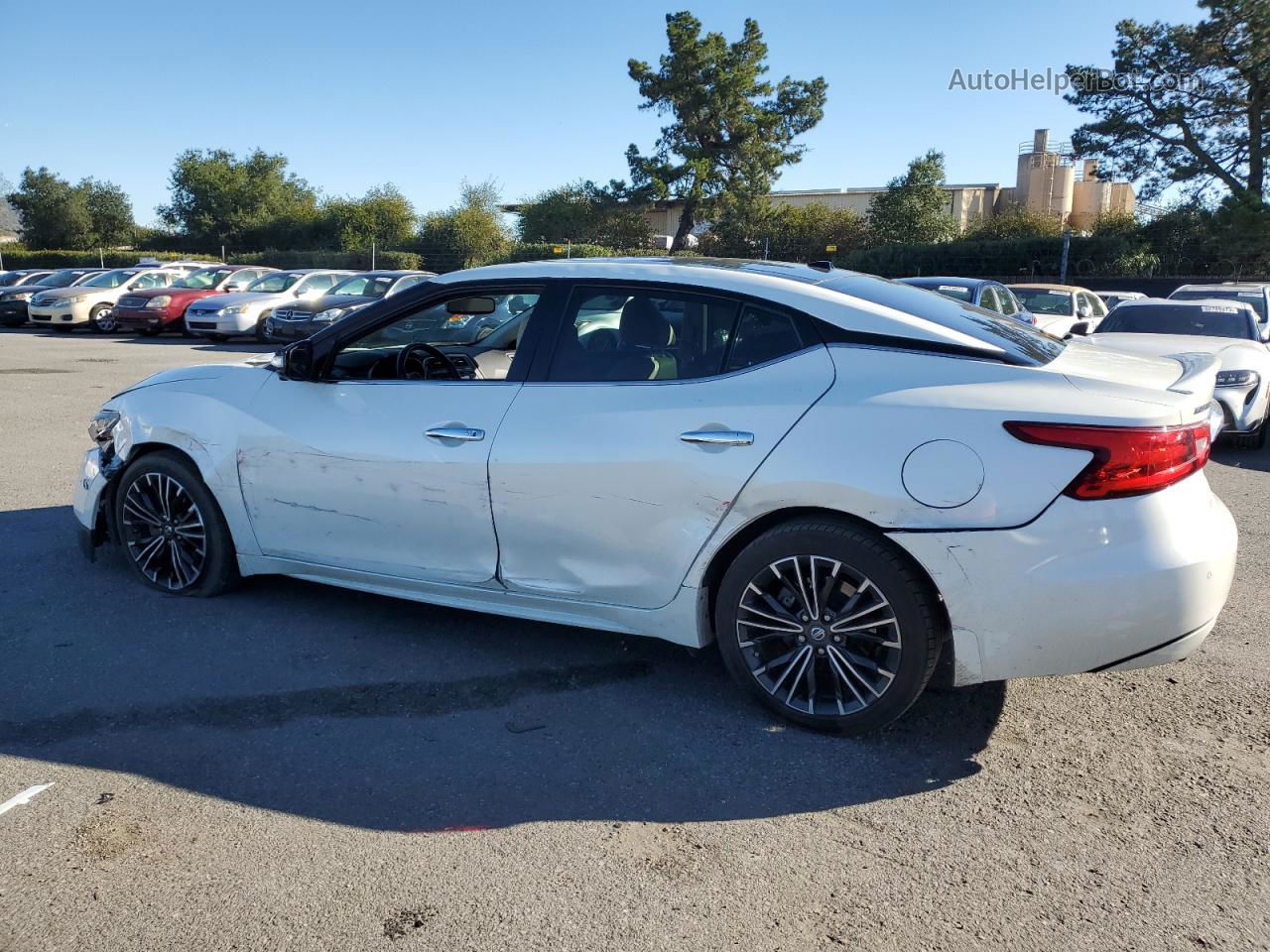 2016 Nissan Maxima 3.5s White vin: 1N4AA6AP1GC430649