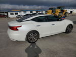 2016 Nissan Maxima 3.5s Белый vin: 1N4AA6AP1GC436855