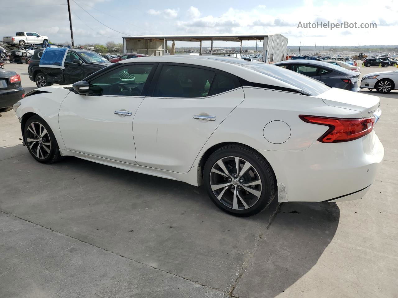 2016 Nissan Maxima 3.5s Белый vin: 1N4AA6AP1GC436855