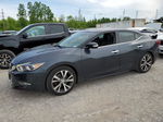 2016 Nissan Maxima 3.5s Blue vin: 1N4AA6AP1GC902106