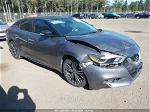 2017 Nissan Maxima 3.5 Platinum Серый vin: 1N4AA6AP1HC387819