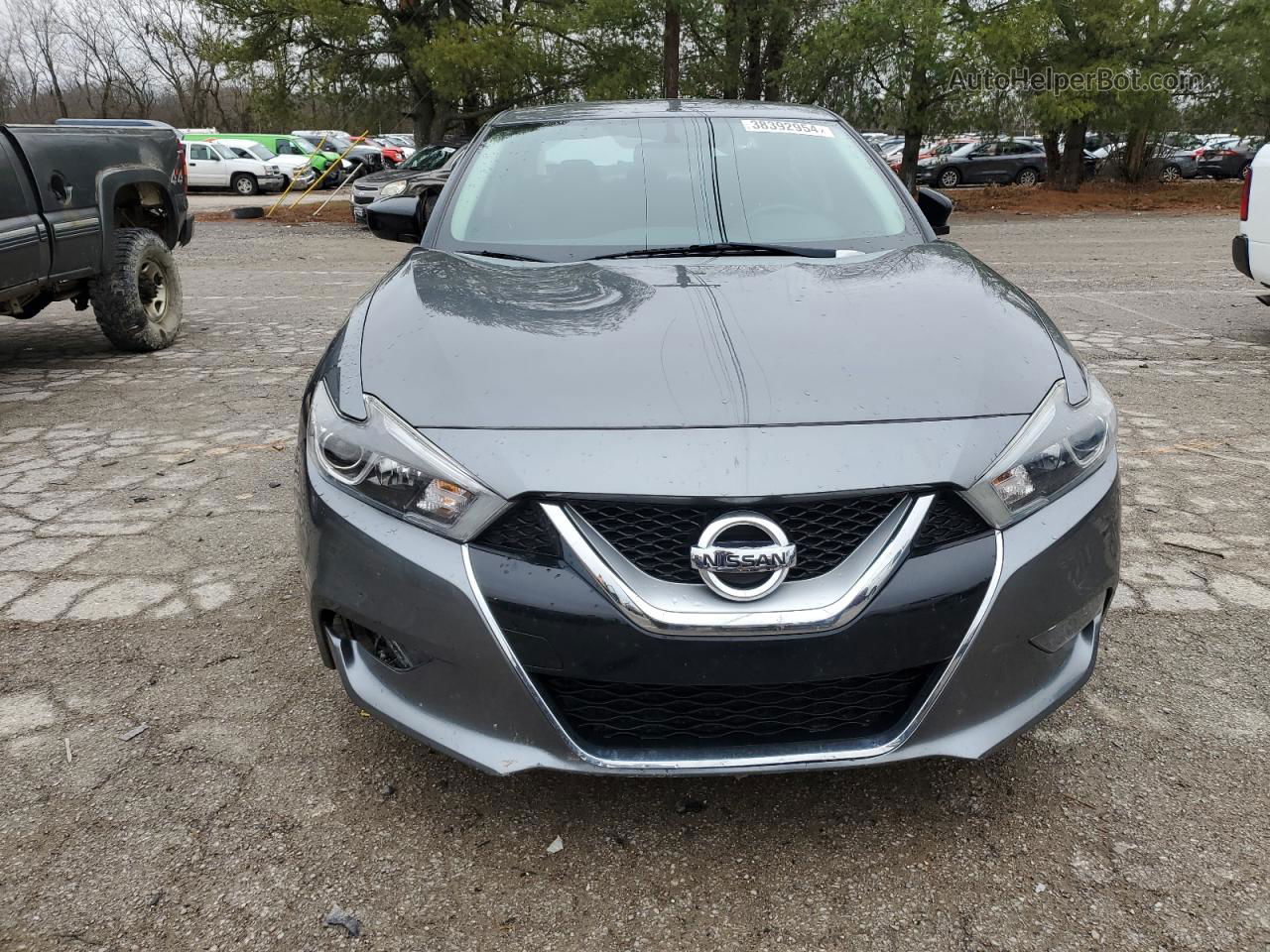 2017 Nissan Maxima 3.5s Gray vin: 1N4AA6AP1HC403968