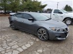 2017 Nissan Maxima 3.5s Серый vin: 1N4AA6AP1HC403968