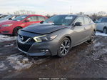 2017 Nissan Maxima 3.5 Sv Gray vin: 1N4AA6AP1HC411245