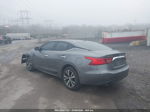 2017 Nissan Maxima 3.5 Sv Gray vin: 1N4AA6AP1HC424528