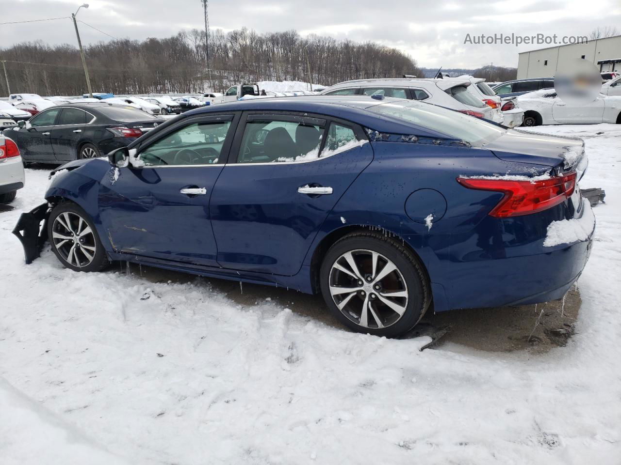 2017 Nissan Maxima 3.5s Синий vin: 1N4AA6AP1HC436114