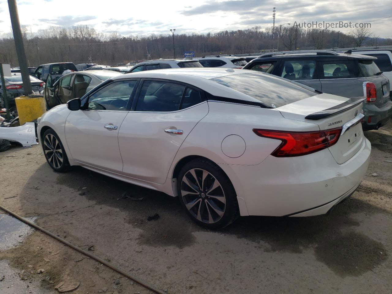 2016 Nissan Maxima 3.5s White vin: 1N4AA6AP2GC375287