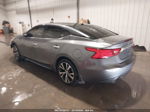 2016 Nissan Maxima 3.5 Sl Gray vin: 1N4AA6AP2GC378206