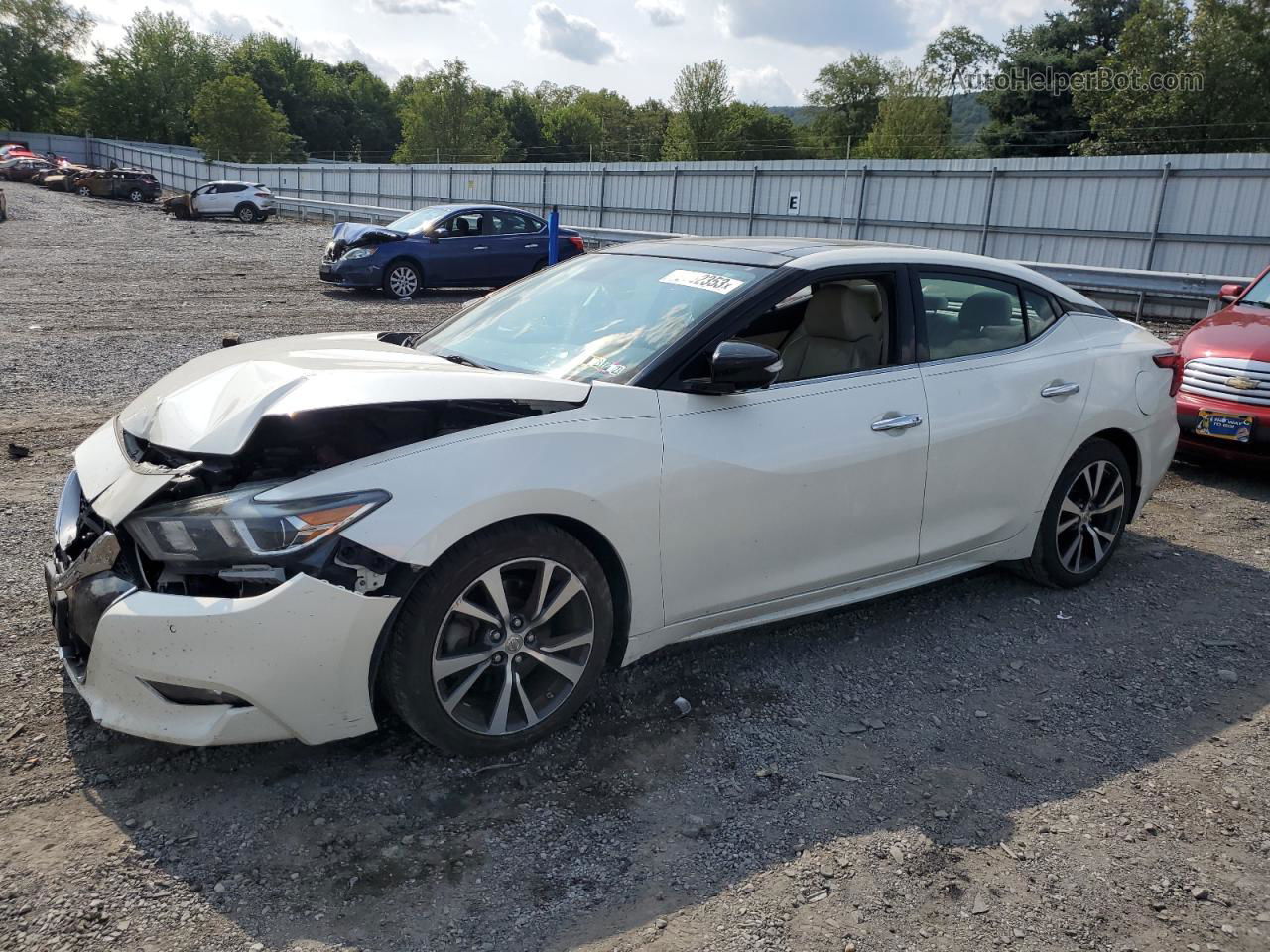 2016 Nissan Maxima 3.5s White vin: 1N4AA6AP2GC386371