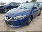 2016 Nissan Maxima 3.5 Platinum Blue vin: 1N4AA6AP2GC392025