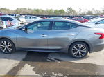 2016 Nissan Maxima 3.5 Sl Gray vin: 1N4AA6AP2GC396463