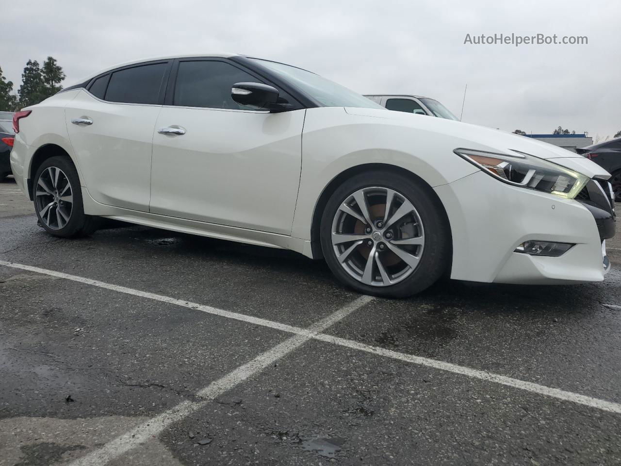 2016 Nissan Maxima 3.5s Белый vin: 1N4AA6AP2GC410667