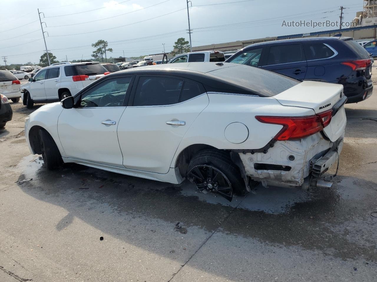 2016 Nissan Maxima 3.5s White vin: 1N4AA6AP2GC434774