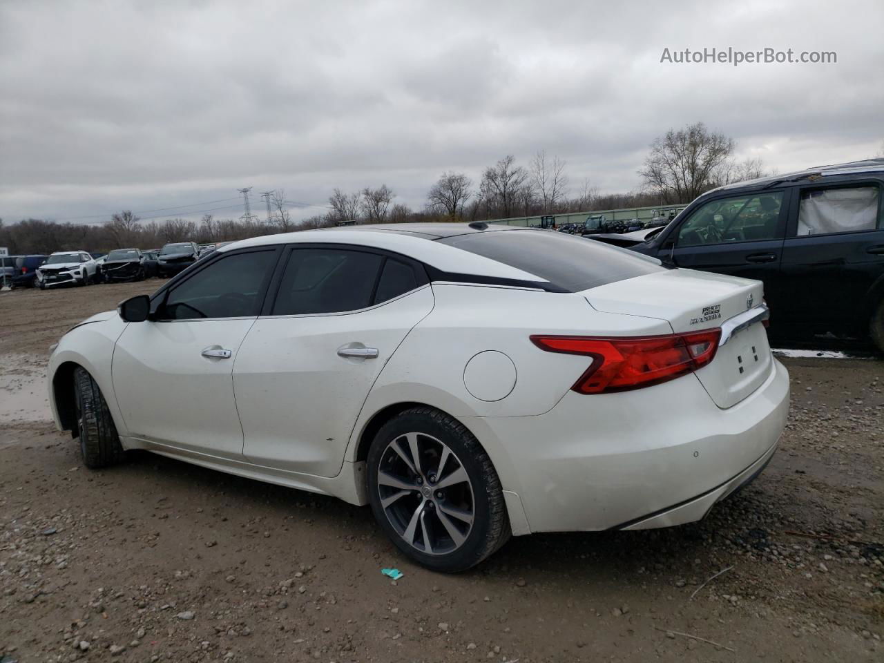 2016 Nissan Maxima 3.5s White vin: 1N4AA6AP2GC437545