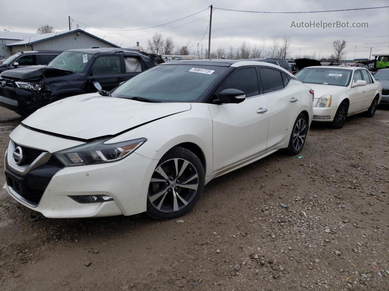 2016 Nissan Maxima 3.5s White vin: 1N4AA6AP2GC437545