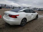 2016 Nissan Maxima 3.5s White vin: 1N4AA6AP2GC437545