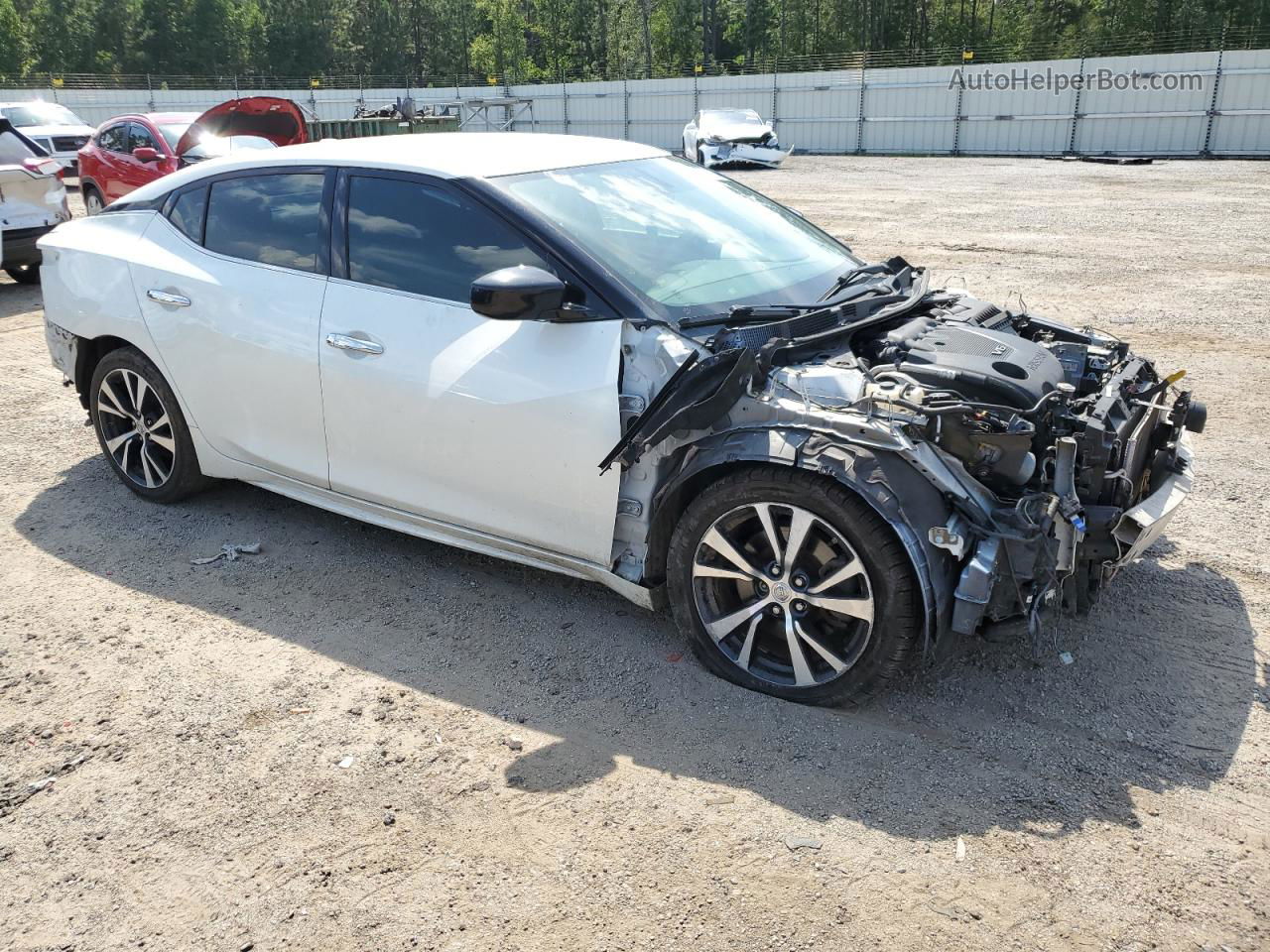 2016 Nissan Maxima 3.5s White vin: 1N4AA6AP2GC441241