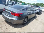 2017 Nissan Maxima 3.5 Sv Gray vin: 1N4AA6AP2HC446635