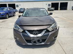 2016 Nissan Maxima 3.5s Brown vin: 1N4AA6AP3GC391725