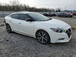 2016 Nissan Maxima 3.5s White vin: 1N4AA6AP3GC395855