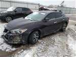 2016 Nissan Maxima 3.5s Темно-бордовый vin: 1N4AA6AP3GC396200