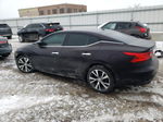 2016 Nissan Maxima 3.5s Темно-бордовый vin: 1N4AA6AP3GC396200