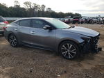 2016 Nissan Maxima 3.5s Gray vin: 1N4AA6AP3GC409690