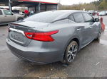 2016 Nissan Maxima 3.5 Sv Gray vin: 1N4AA6AP3GC415909