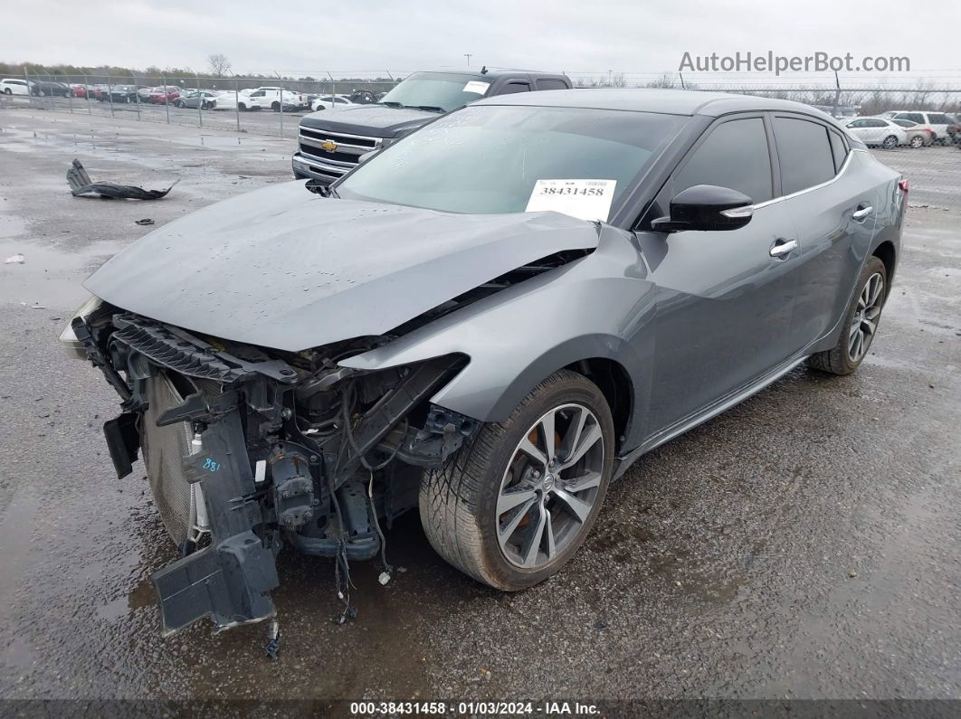 2016 Nissan Maxima 3.5 Sv Gray vin: 1N4AA6AP3GC415909