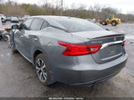 2016 Nissan Maxima 3.5 Sv Gray vin: 1N4AA6AP3GC415909