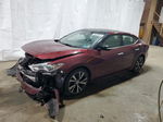 2016 Nissan Maxima 3.5s Темно-бордовый vin: 1N4AA6AP3GC435688