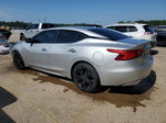 2016 Nissan Maxima 3.5s Серебряный vin: 1N4AA6AP3GC441202