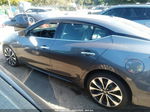 2017 Nissan Maxima 3.5 Sr Gray vin: 1N4AA6AP3HC373937